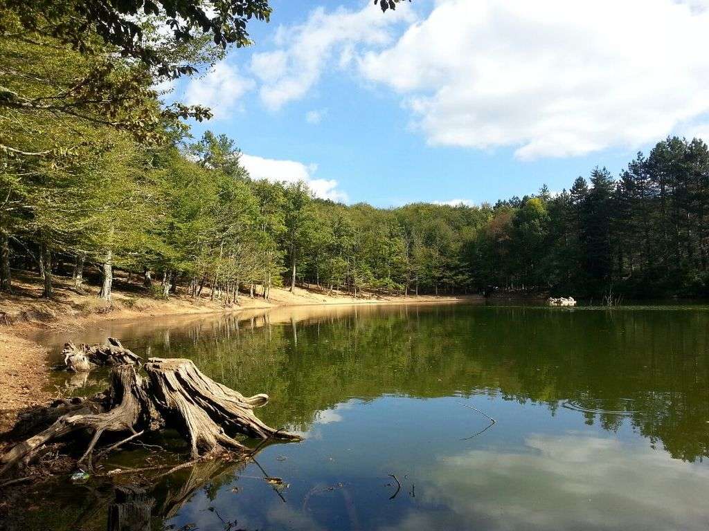 Umbra forest: a journey into the green heart of the Gargano
